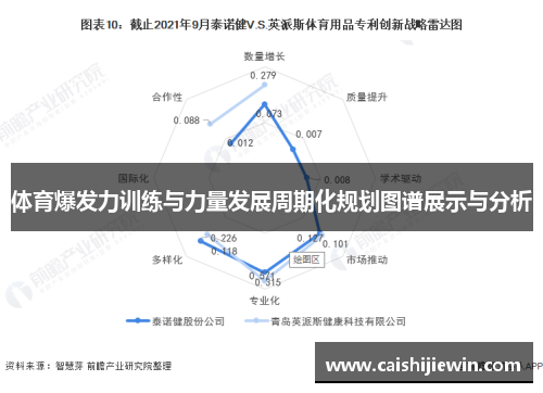 体育爆发力训练与力量发展周期化规划图谱展示与分析